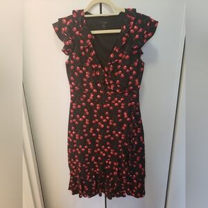 J. Crew Silk Cherry Dress
